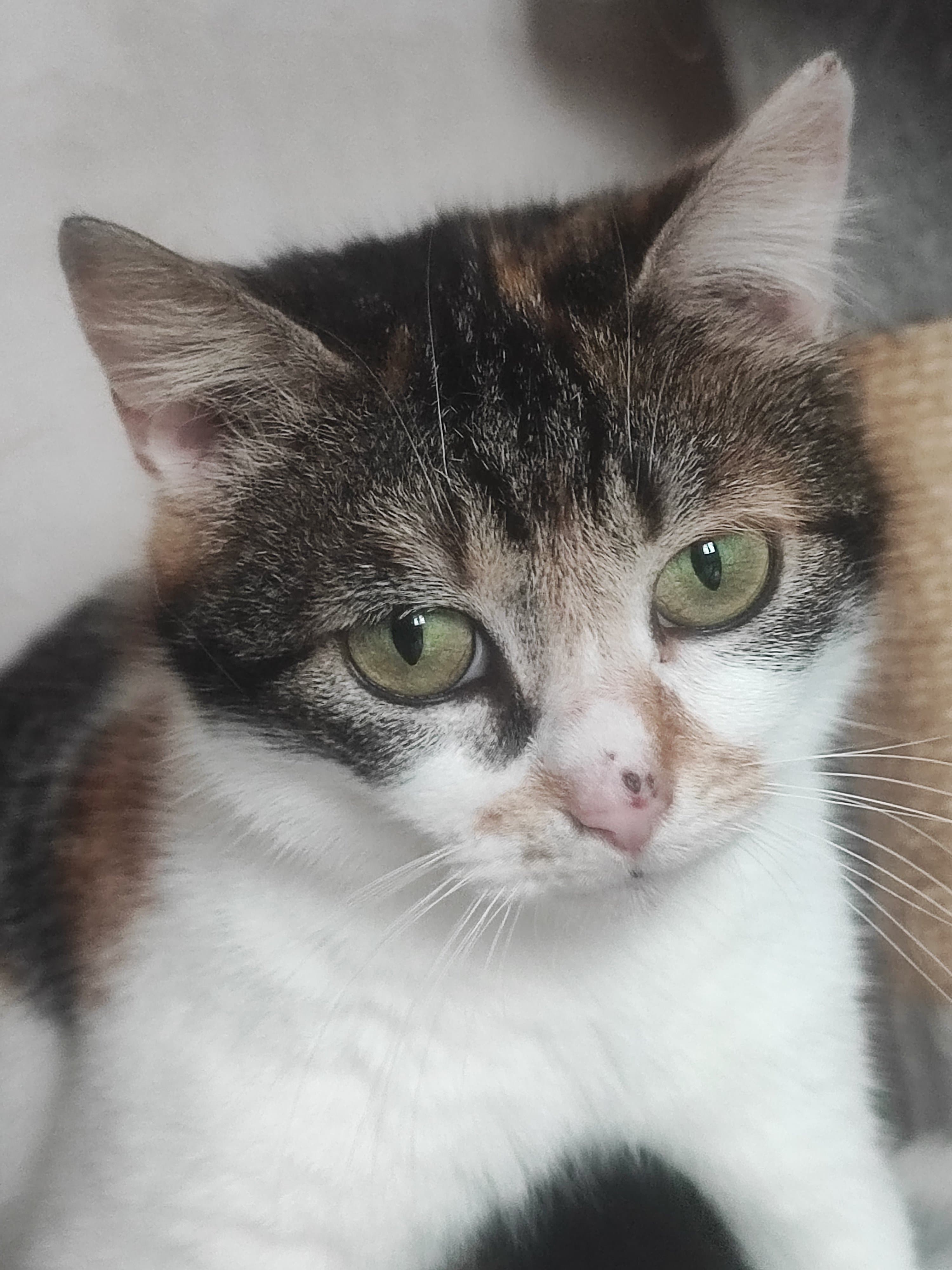 Ginette — photo 1