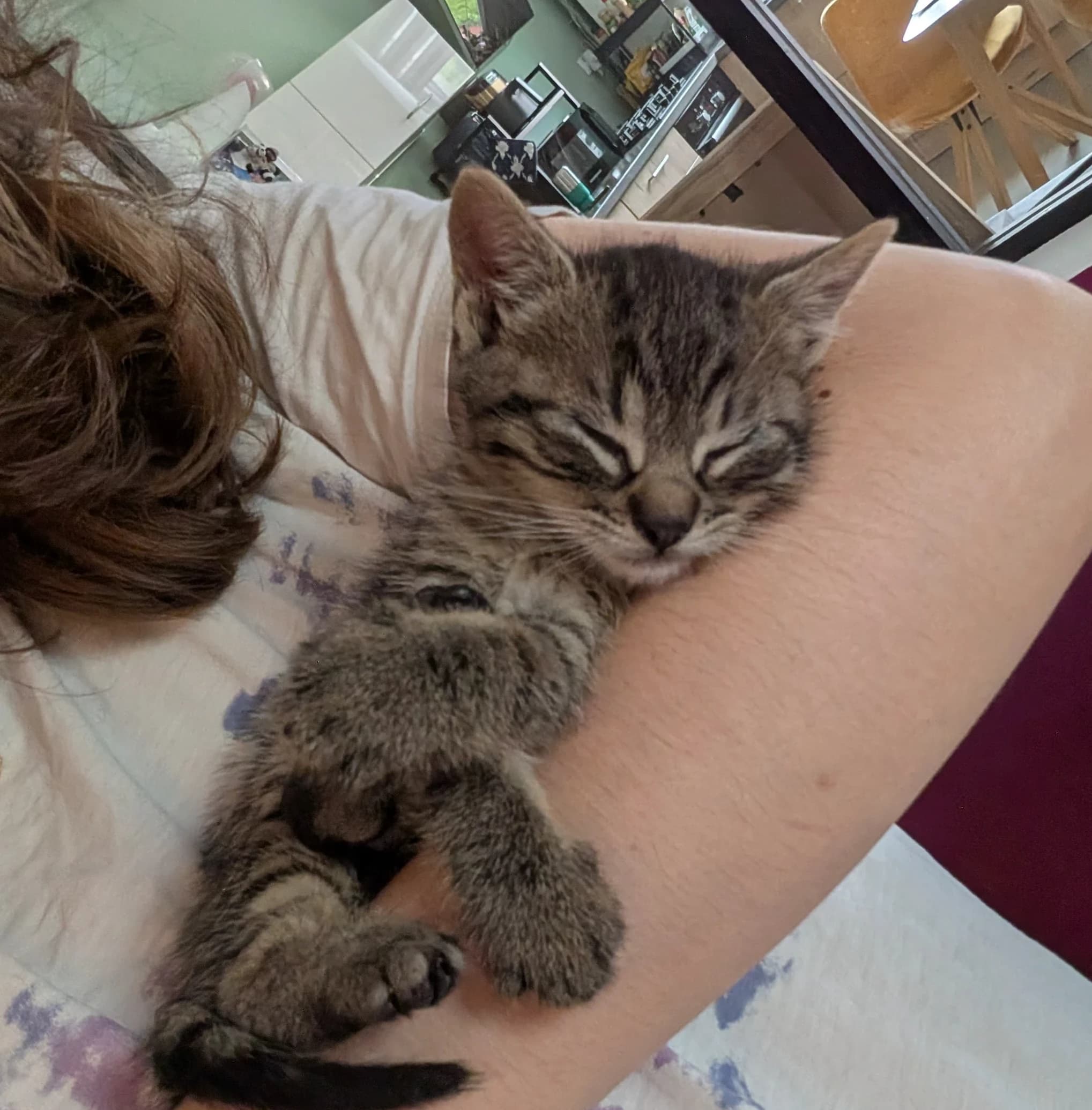 Piwi β photo 5