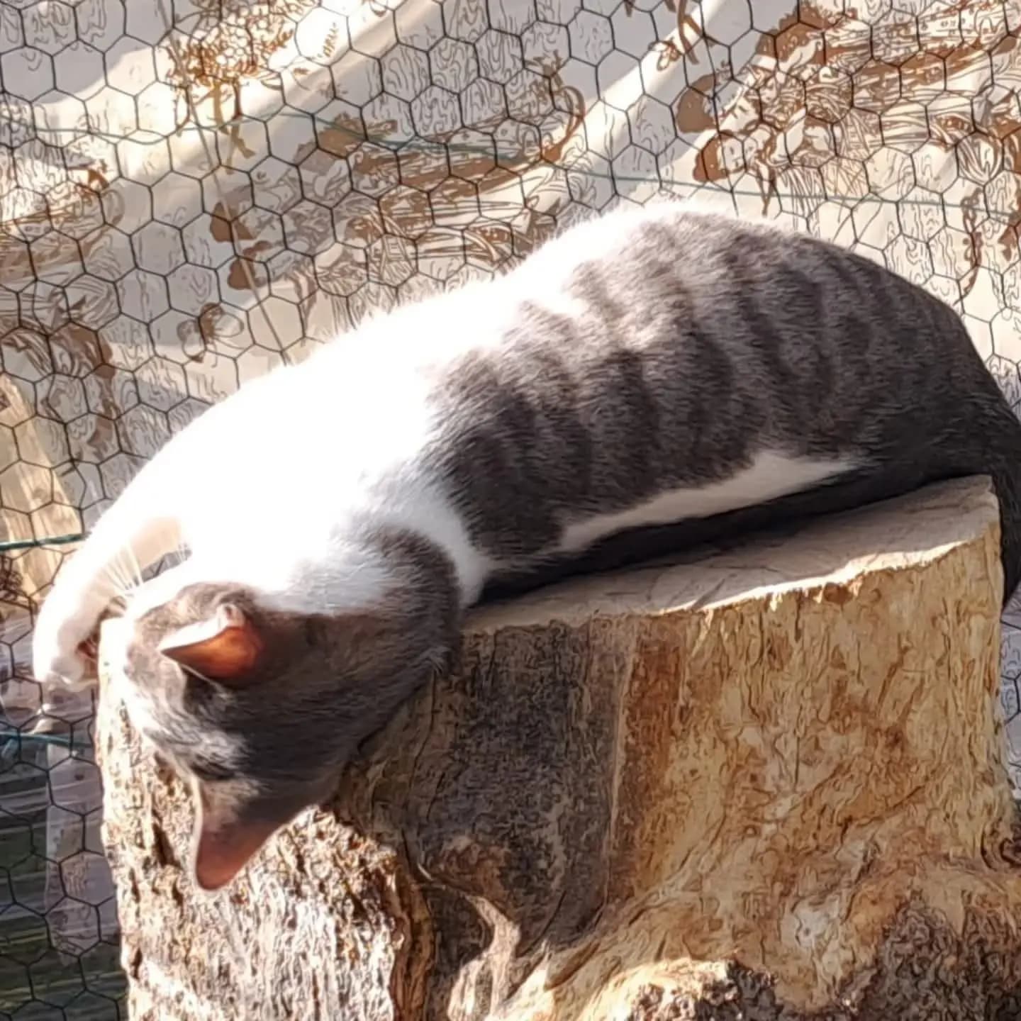 Venasque — photo 6