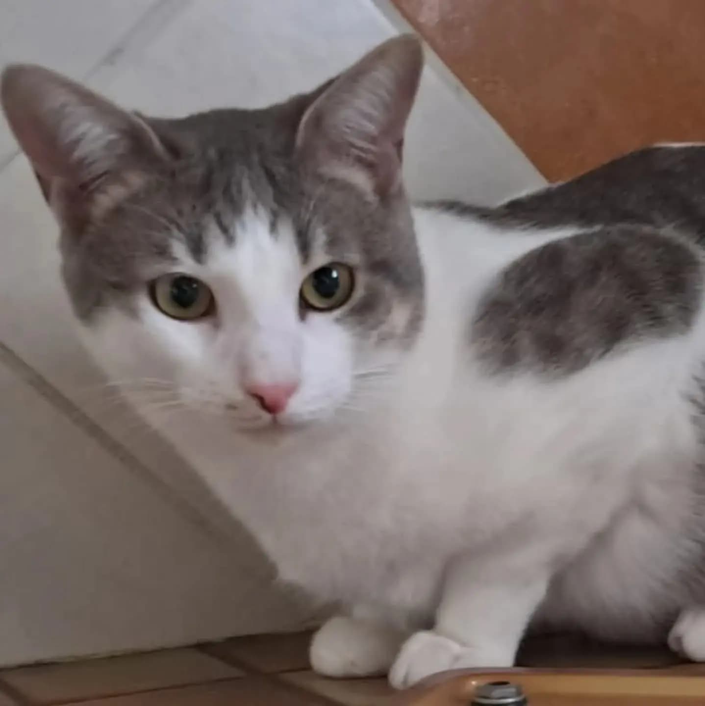 Venasque — photo 1