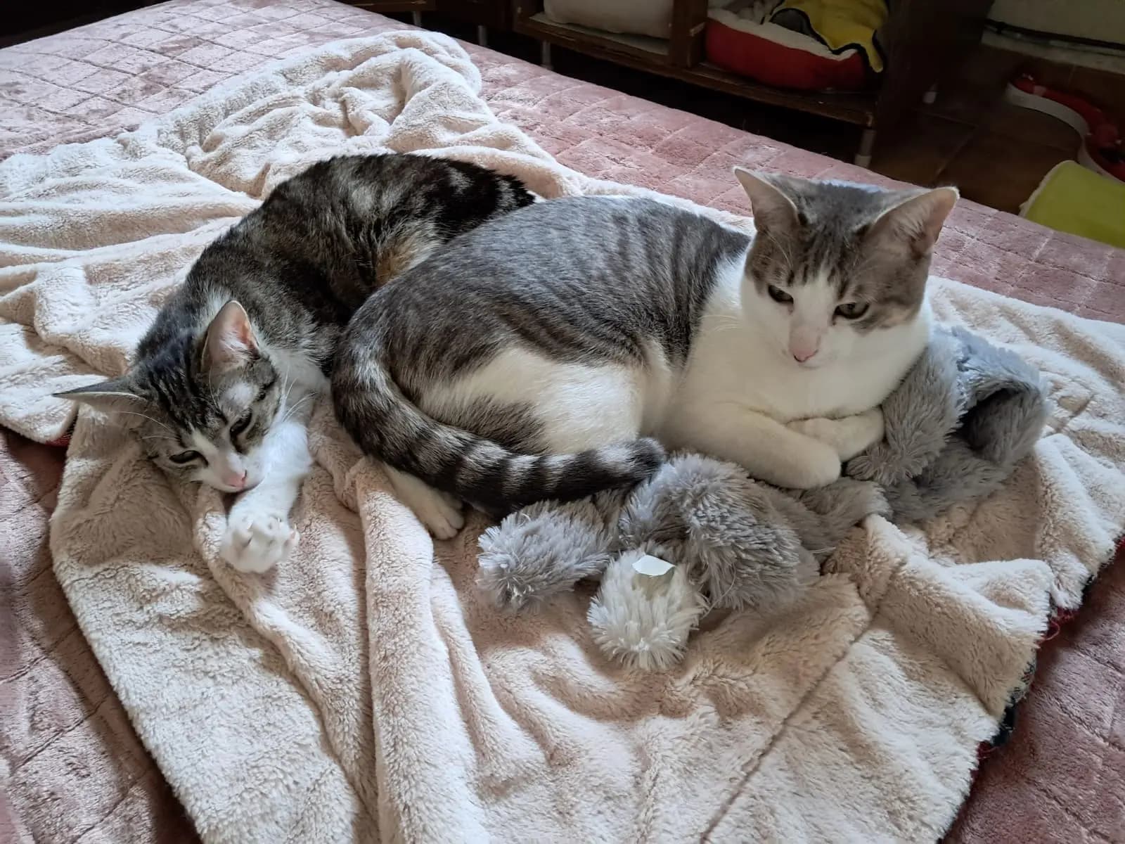 Venasque — photo 5