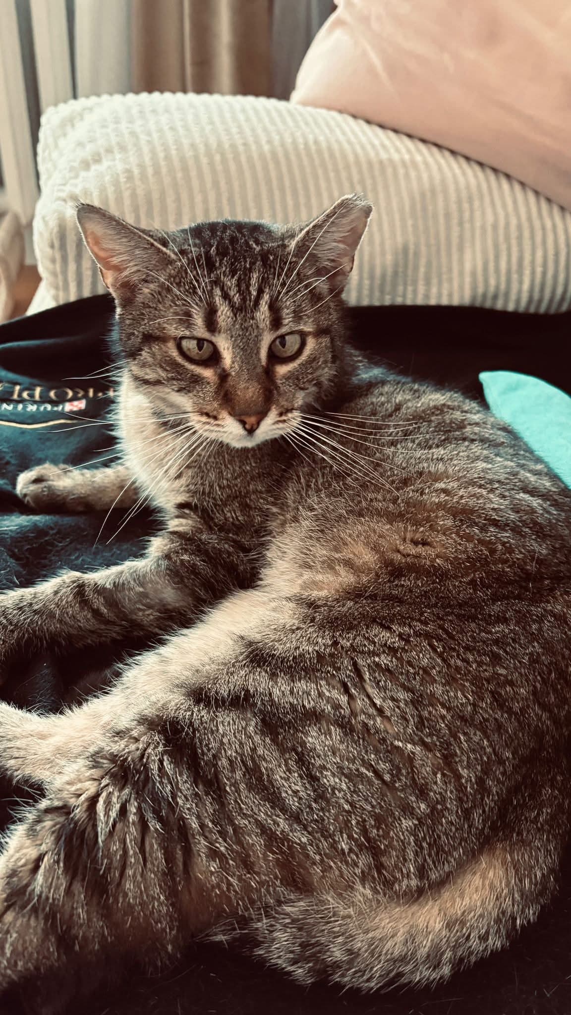 Lady — photo 2
