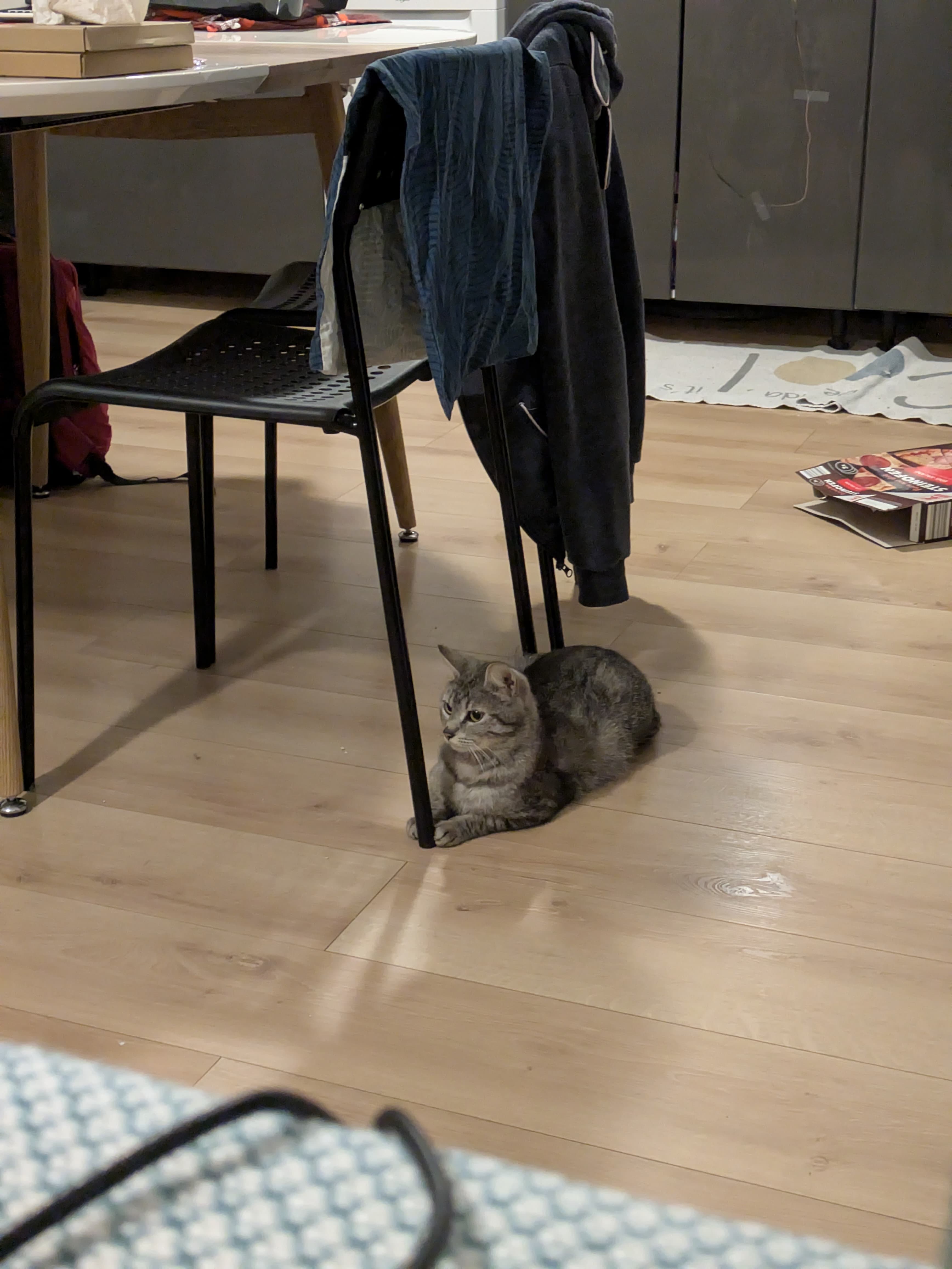 Kida — photo 4